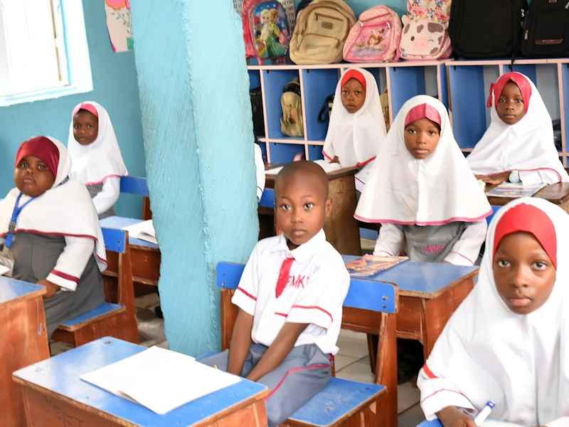 Primary School programme
